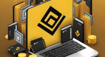 How to Use Binance Chain Wallet 2024?